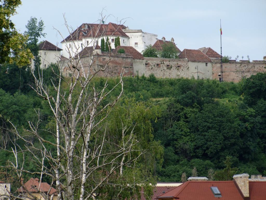 Lelia Residence Apartments Brasov Room photo