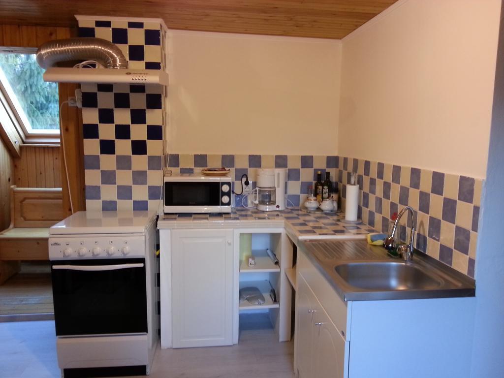 Lelia Residence Apartments Brasov Room photo